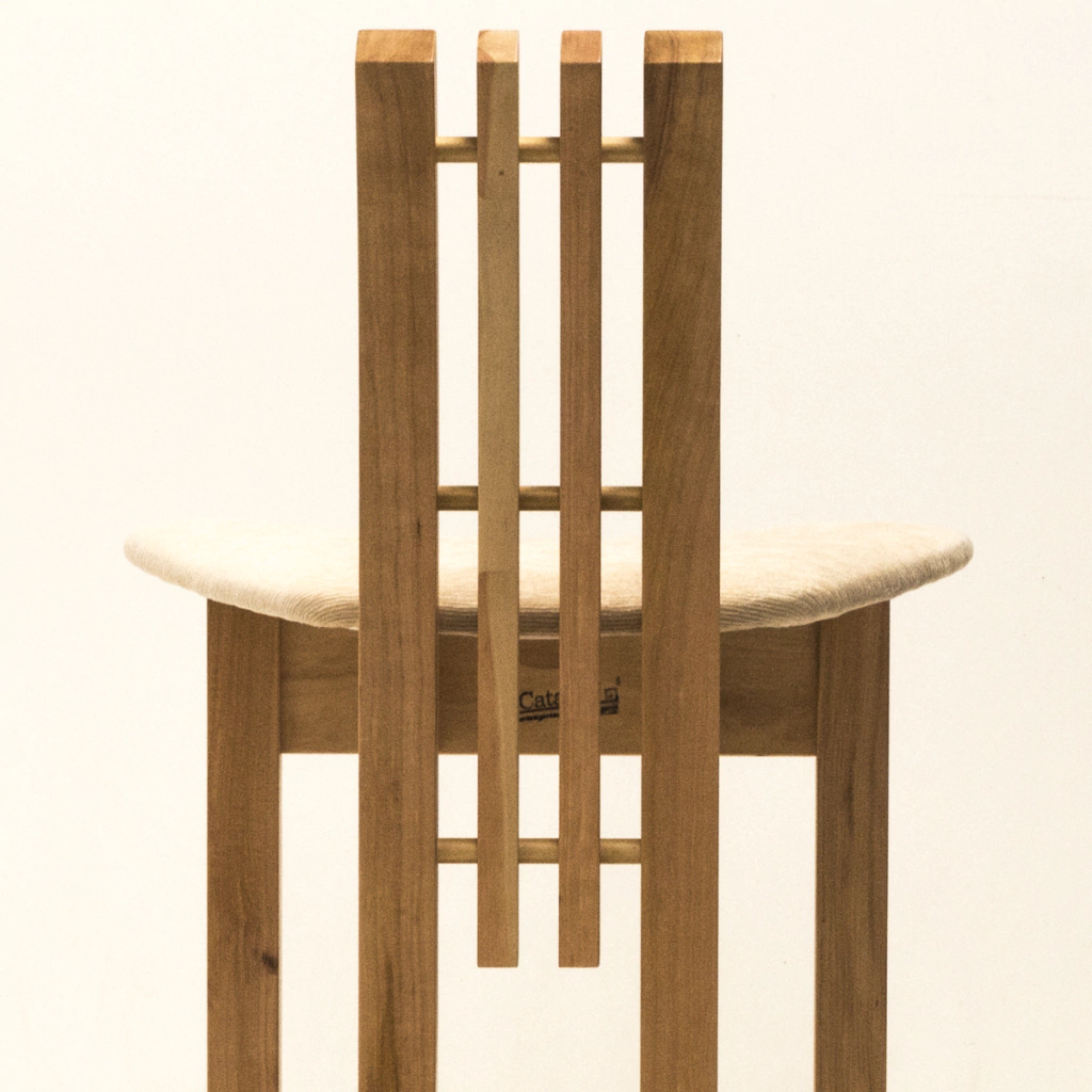 Silla Alta Amonite