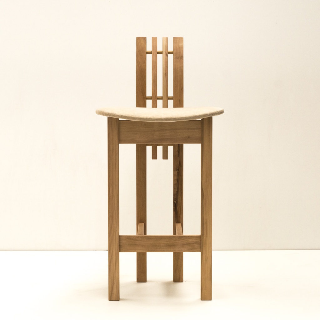 Silla Alta Amonite
