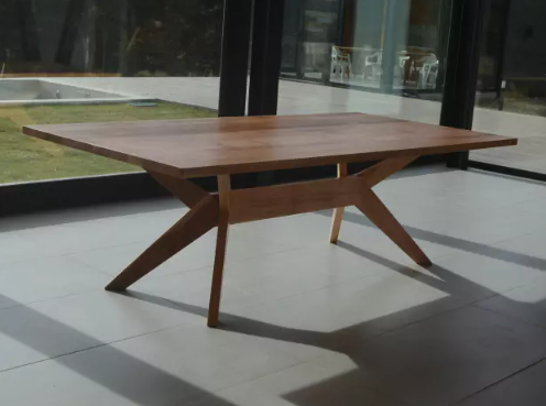 Mesa Rectangular Amonite